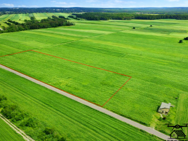 Działka budowlana Wiśnicz sprzedam