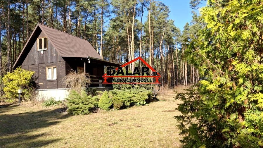 Zdjęcie 3