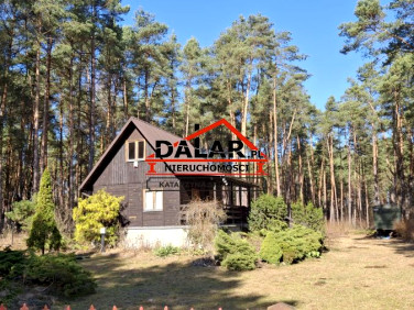 Dom Rozniszew sprzedaż