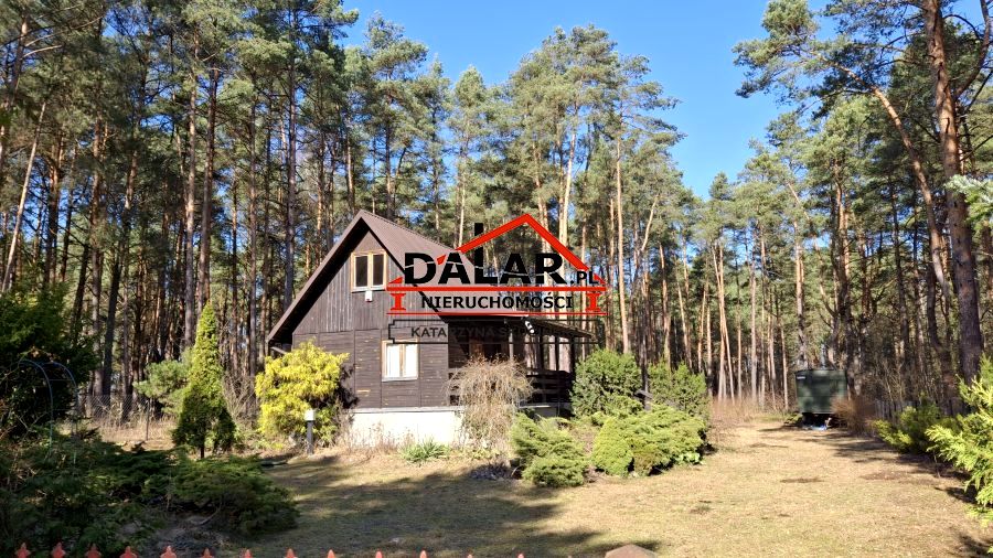 Dom Rozniszew sprzedaż