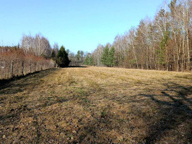 Działka budowlano-rolna Krzywe