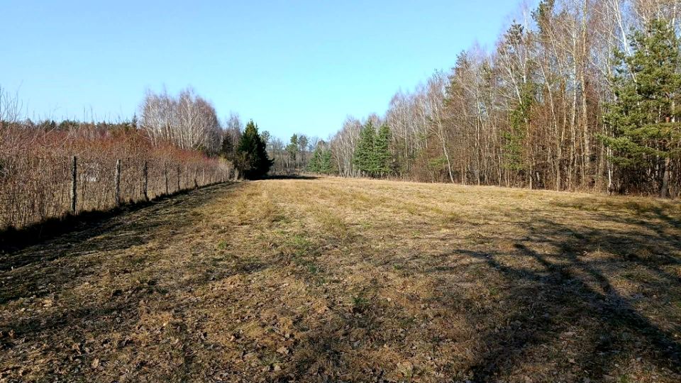 Działka budowlano-rolna Krzywe