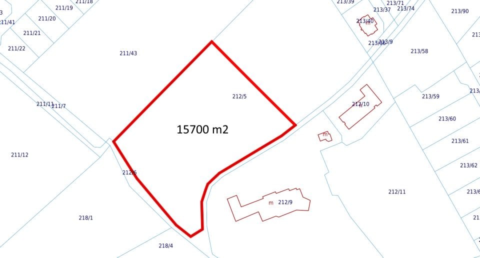 Zdjęcie 3