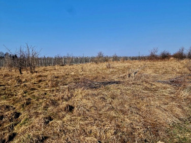 Działka siedliskowa Kopana