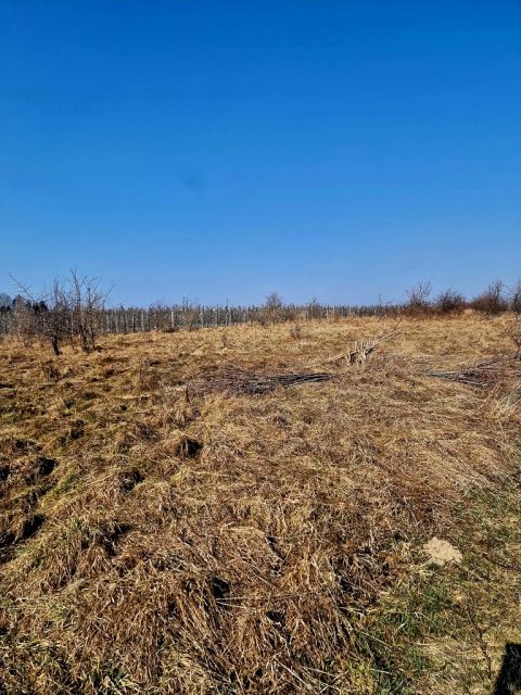 Działka siedliskowa Kopana