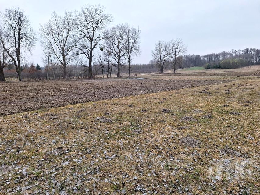 Działka budowlano-rolna Sapy