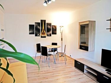 Mieszkanie Zielona Góra wynajem