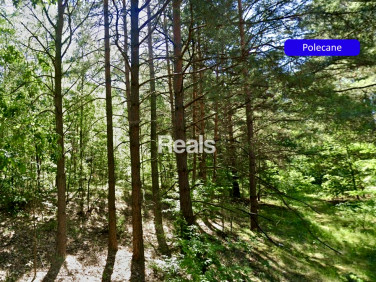 Działka budowlana Chełsty