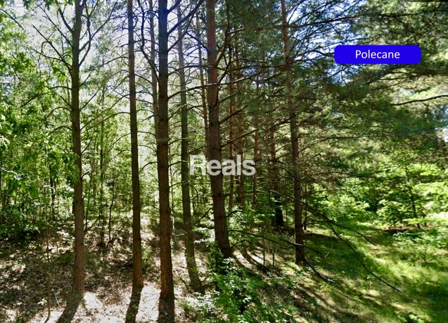 Działka budowlana Chełsty