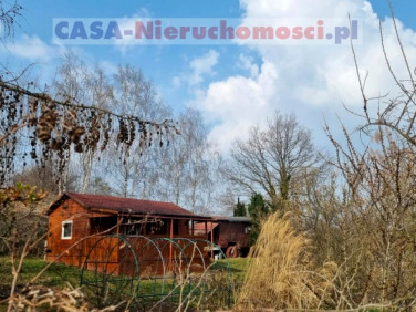 Zalesiona działka Jaźwina