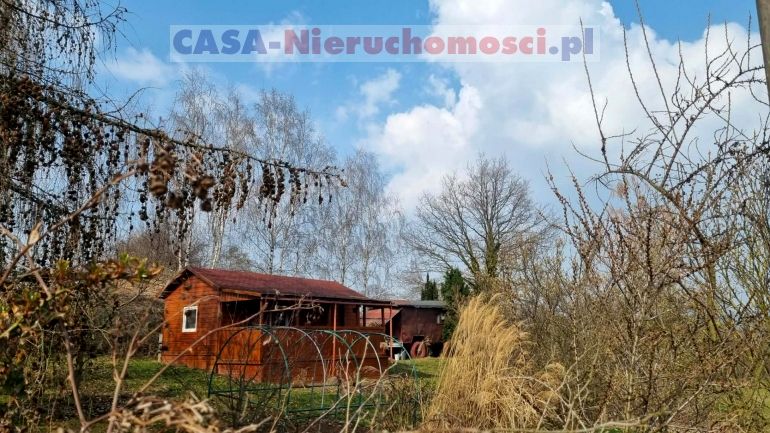 Zalesiona działka Jaźwina