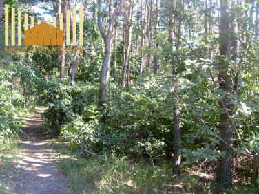 Działka leśna Józefów