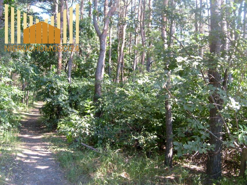 Działka leśna Józefów