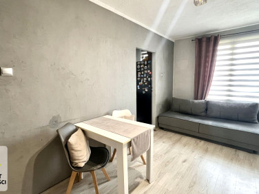 Mieszkanie Gryfów Śląski