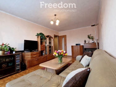 Mieszkanie Biała Podlaska