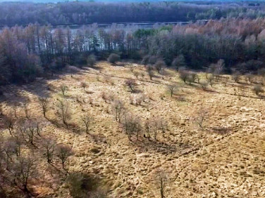 Działka inwestycyjna Czarnogłowy