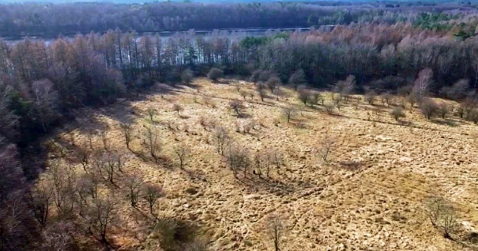 Działka inwestycyjna Czarnogłowy