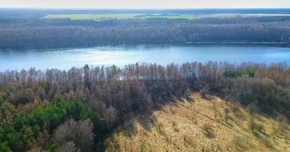 Działka inwestycyjna Czarnogłowy sprzedam