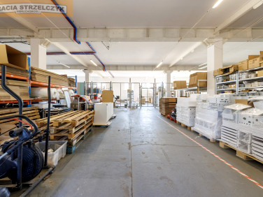 Budynek użytkowy Sulejówek wynajem