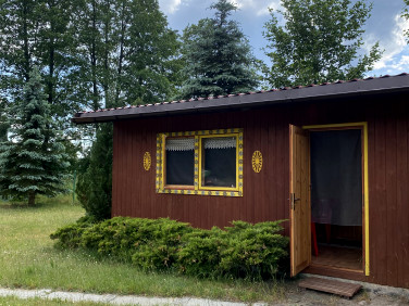 Działka siedliskowa Uściany Nowe