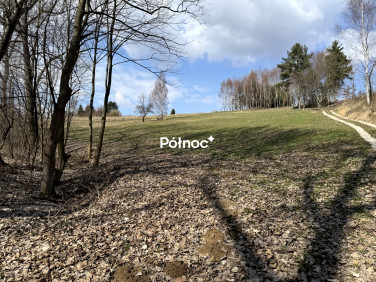 Działka rolna Wierzchowie