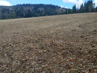 Działka budowlana Nowa Wieś