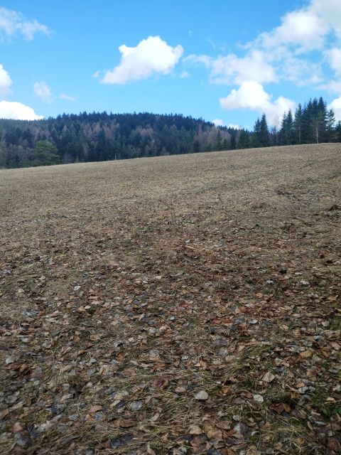 Działka budowlana Nowa Wieś