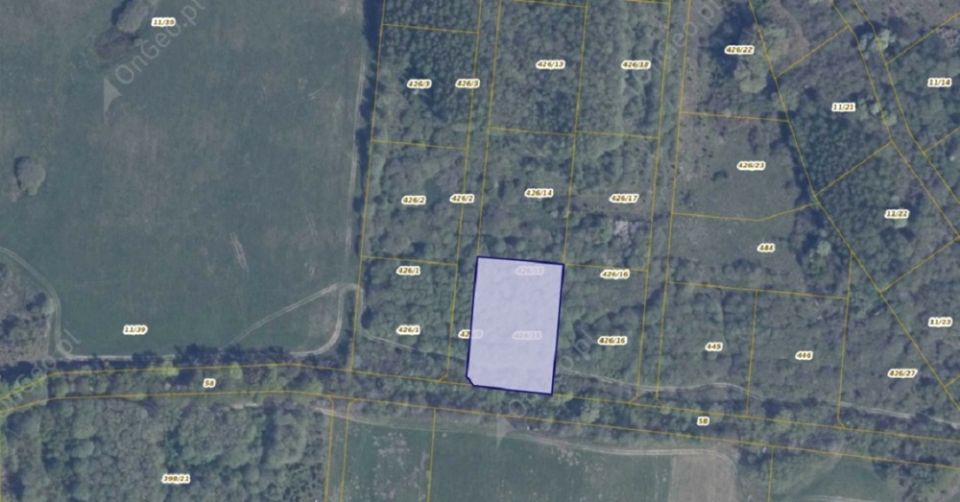 Działka rolna Pręgowo