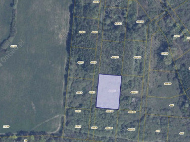 Działka rolna Pręgowo