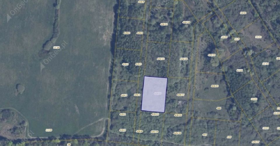 Działka rolna Pręgowo