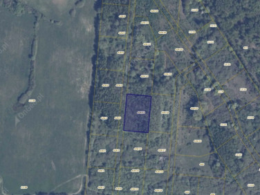 Działka rolna Pręgowo