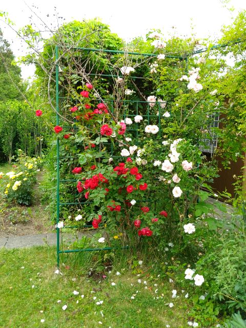 Działka rekreacyjna Rzeszów