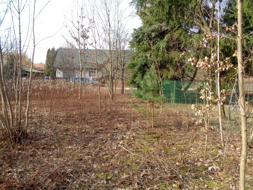 Działka budowlana Leszno