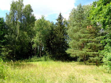 Działka budowlana Wiktorów