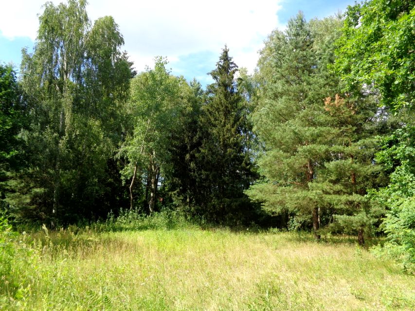 Działka budowlana Wiktorów