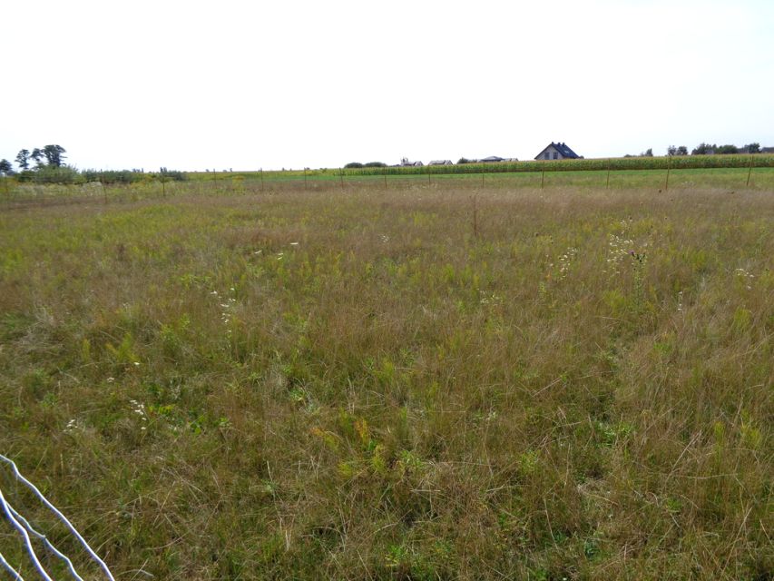 Działka budowlana Zaborówek