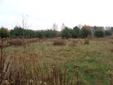 Działka budowlana Wilkowa Wieś