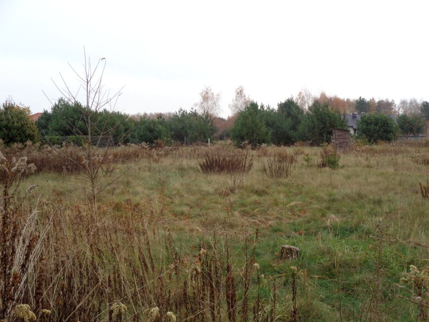 Działka budowlana Wilkowa Wieś