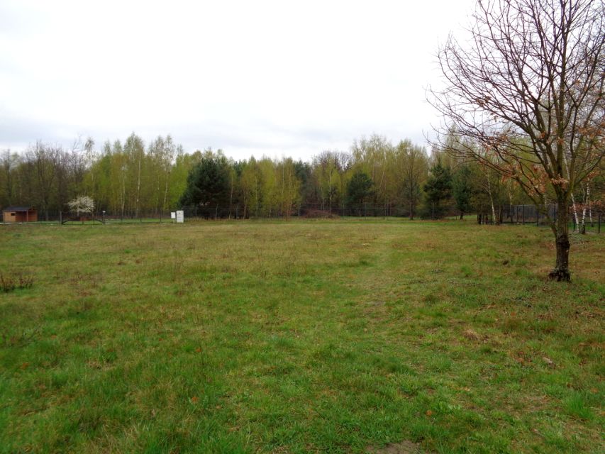 Działka budowlana Powązki