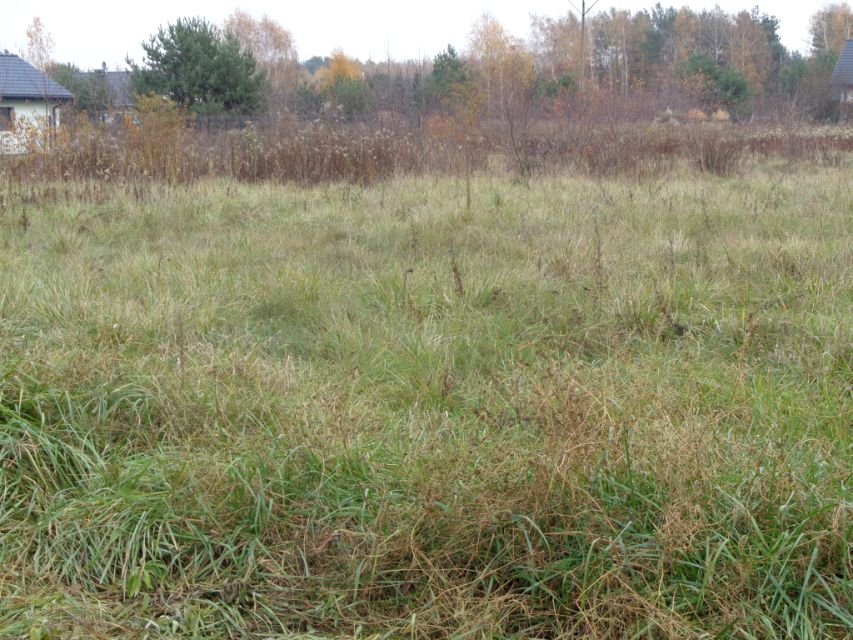 Działka budowlana Wilkowa Wieś