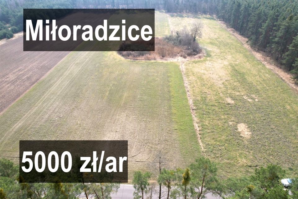 Pusta działka Miłoradzice