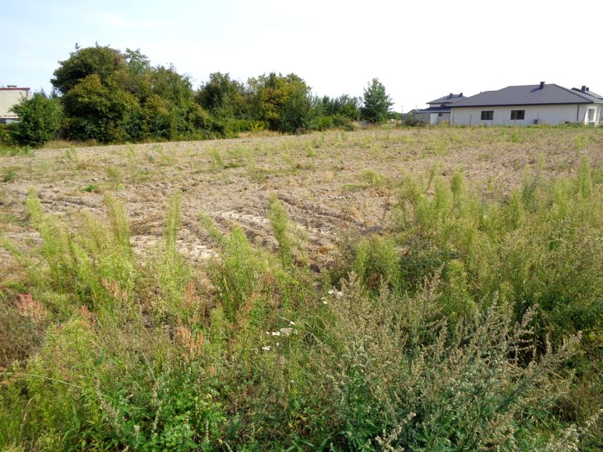 Działka budowlana Zaborówek