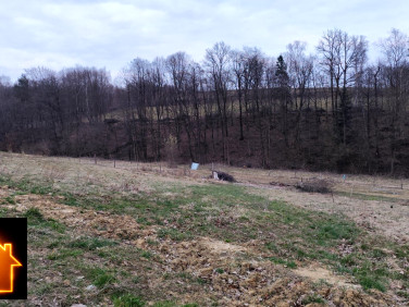 Działka budowlana Błędowa Tyczyńska