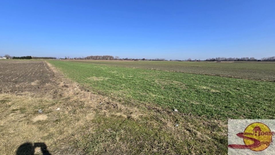 Działka rolna Kaszewska Wola