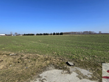 Działka rolna Kaszewska Wola