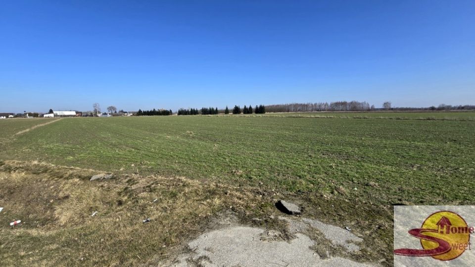 Działka rolna Kaszewska Wola