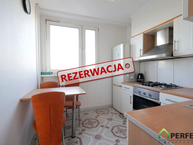 Mieszkanie Jelenia Góra