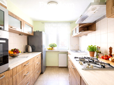 Mieszkanie Malbork wynajem