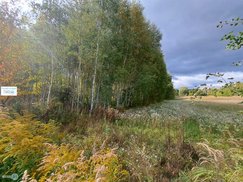 Działka siedliskowa Sędek sprzedam