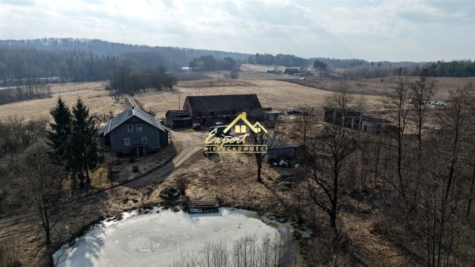 Zdjęcie 3